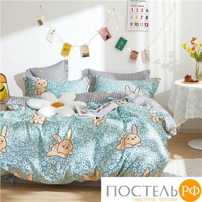 TPIG4-1483 КОД1050, Twill 1,5 спальный, 50x70 (1 шт), 70x70 (1 шт), Сатин (Твил), Коробка