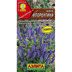 Мята Флорентина (Код: 92344)