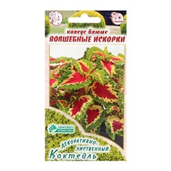 Семена Колеус блюме "Волшебные Искорки",  10 шт