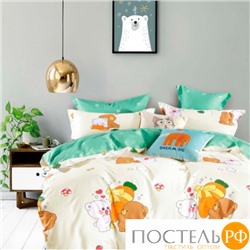 TPIG4-1138 КОД1050, Twill 1,5 спальный, 70x70 (1 шт), 50x70 (1 шт), Сатин (Твил), Коробка