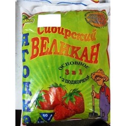 Сибирский Великан Ягодка (Код: 8882)