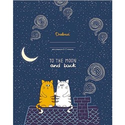 Дневник для старших классов (твердая обложка) "Кошки на крыше" С8869-01 КТС-ПРО