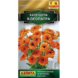 Календула Клеопатра (Код: 92436)