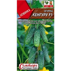 Огурец Кенгуру F1 (Код: 92299)