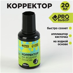 Корректор с кисточкой на водной основе, 20 мл PROвыбор "Градиент"