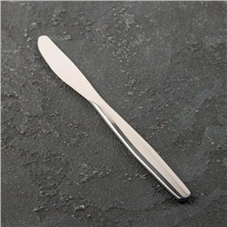 Нож столовый «Визит», h=19,5 см, цвет серебряный