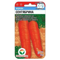 Морковь Сентябрина Сиб.Сад