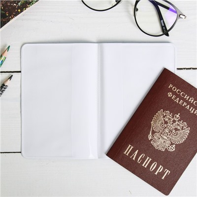 Обложка на паспорт «Владивосток. Чайка»