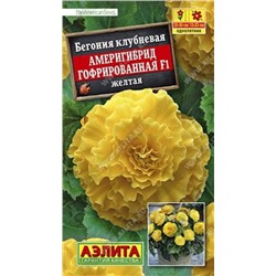 Бегония Америгибрид Желтая F1 (Код: 85998)