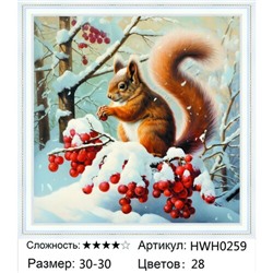 AM33 HWH0259, 30х30 см