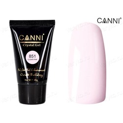 Полигель Canni Crystal №851, 45г