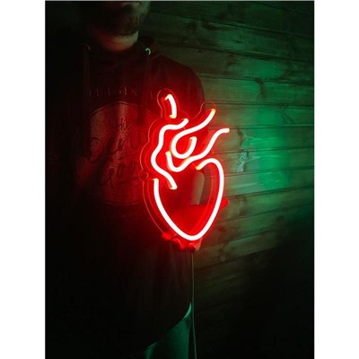 Неоновая вывеска «Анатомическое сердце» 20 × 30 см, 12 В