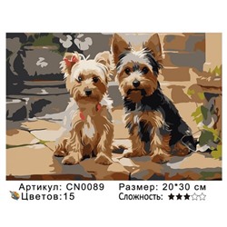 PH23 CN0089, 20х30 см