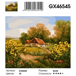 GX 46545