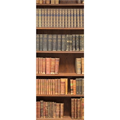 Рулонная штора лен "Книжный шкаф"  (d-200481-gr)