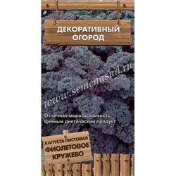 Капуста листовая Фиолетовое кружево (Код: 88125)