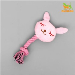 Игрушка мягкая для собак "Зайка с канатом", с пищалкой, 18 см, розовая