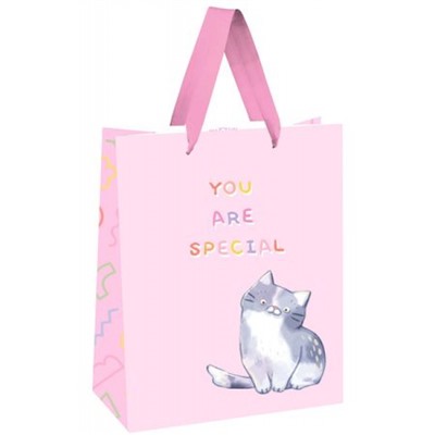 Пакет бумажный 18х23х10 см "You are special" крафт MS_51743 (354545) MESHU