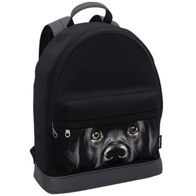 Рюкзак молодежный "StreetLine. Black Dog" 17L 41х31х13 см 60349 с отделением для ноутбука ErichKrause