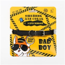 Ошейник для собак Bad boy с адресником, 27-34 см