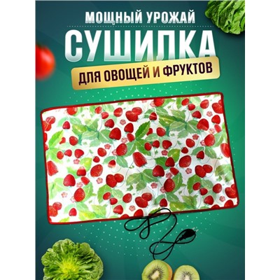 Сушилка для овощей и фруктов Мощный Урожай, 55х85 см., Земляника