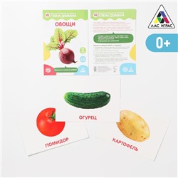 Обучающие карточки по методике Глена Домана «Овощи», 12 карт, А6, 3+