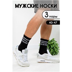 Носки мужские Школа (3 пары) черный