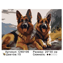 CN0106 Картины по номерам 20*30 цвет.холст