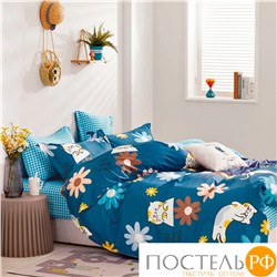 TPIG4-1567 КОД1050, Twill 1,5 спальный, 50x70 (1 шт), 70x70 (1 шт), Сатин (Твил), Коробка