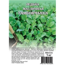 Сидерат Редька Масличная Тамбовчанка 1 кг (Код: 92754)