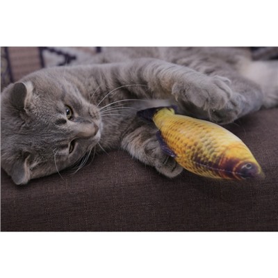 Набор из 2-х игрушек для кошек Bradex «Рыбы», 18 см, фланель, хлопок