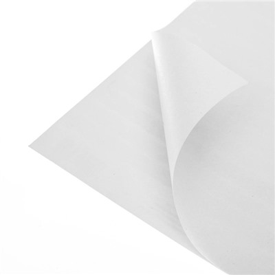 Бумага для скрапбукинга с клеевым слоем «Пин-ап», 20 × 21,5 см, 250 г/м