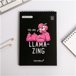 Скетчбук с черными листами "You are llamaizing", А5 40 л