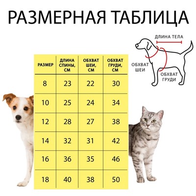 Комбинезон "Блеск", размер 18 (ДС 40 см, ОГ 50 см, ОШ 38 см), серебряно-голубой