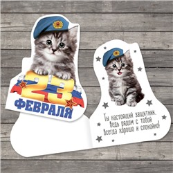 Открытка поздравительная «C 23 Февраля!», котёнок в берете, 7 × 9 см