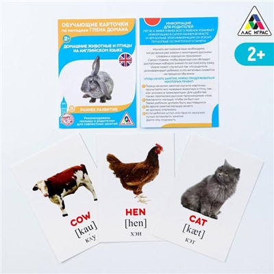 Обучающие карточки по методике Г. Домана «Домашние животные на английском языке», 12 карт, А6