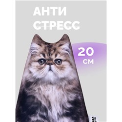 Игрушка антистресс Кот персидский 20 см, арт. МТ10810