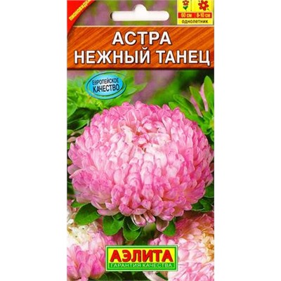 Астра Нежный танец (Код: 86771)