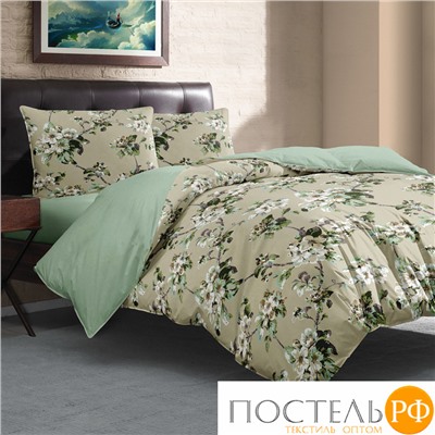 КПБ CL HOME Поплин "Pure Cotton" евро 200*220*1 220*240*1(±5) 50*70*2(±2) 70*70*2(±2) 31/288-PCE