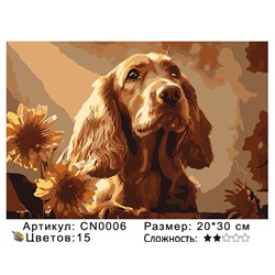 CN0006 Картины по номерам 20*30 цвет.холст