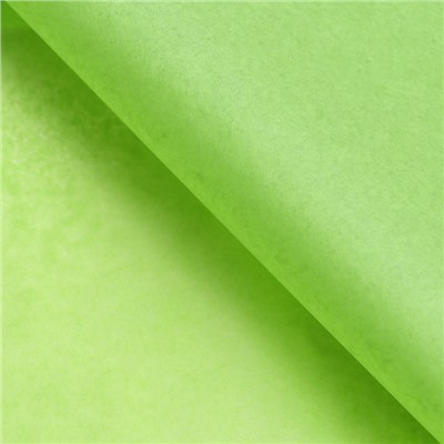 Бумага упаковочная тишью, зеленая, 50 см х 66 см