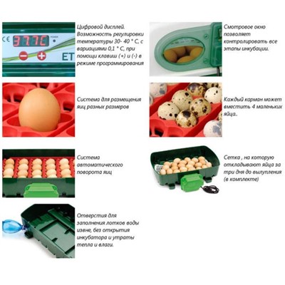 Инкубатор ET 12 автоматический