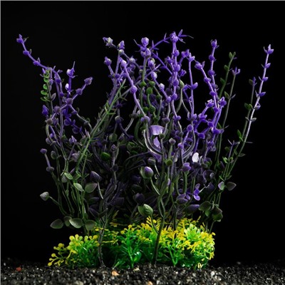 Растение искусственное аквариумное, 20 см, фиолетово-зелёное