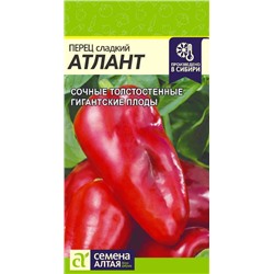 Перец сладкий Атлант Сем.Алтая