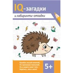 IQ-загадки и лабиринты-отгадки. Погосова К.В.