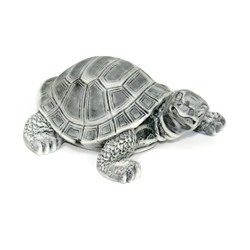 Черепаха малая 2