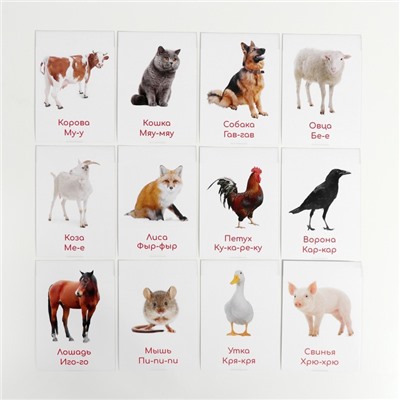 Обучающие карточки по методике Глена Домана «Что говорят животные?», 12 карт, А6, в коробке
