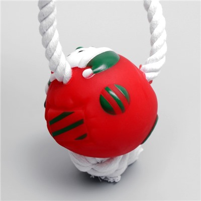 Игрушка для собак "Рождественский шарик на канате (канат 0,8 см), 30 х 7,5 см