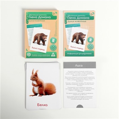 Обучающие карточки по методике Глена Домана «Дикие животные», 12 карт, А6, в коробке