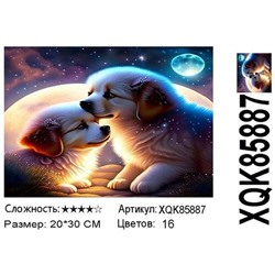 AM23 XQK 85887, 20х30 см